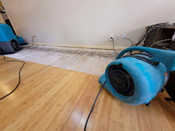 Professional Ceiling Water Damage Repair technician working in Troy, MI